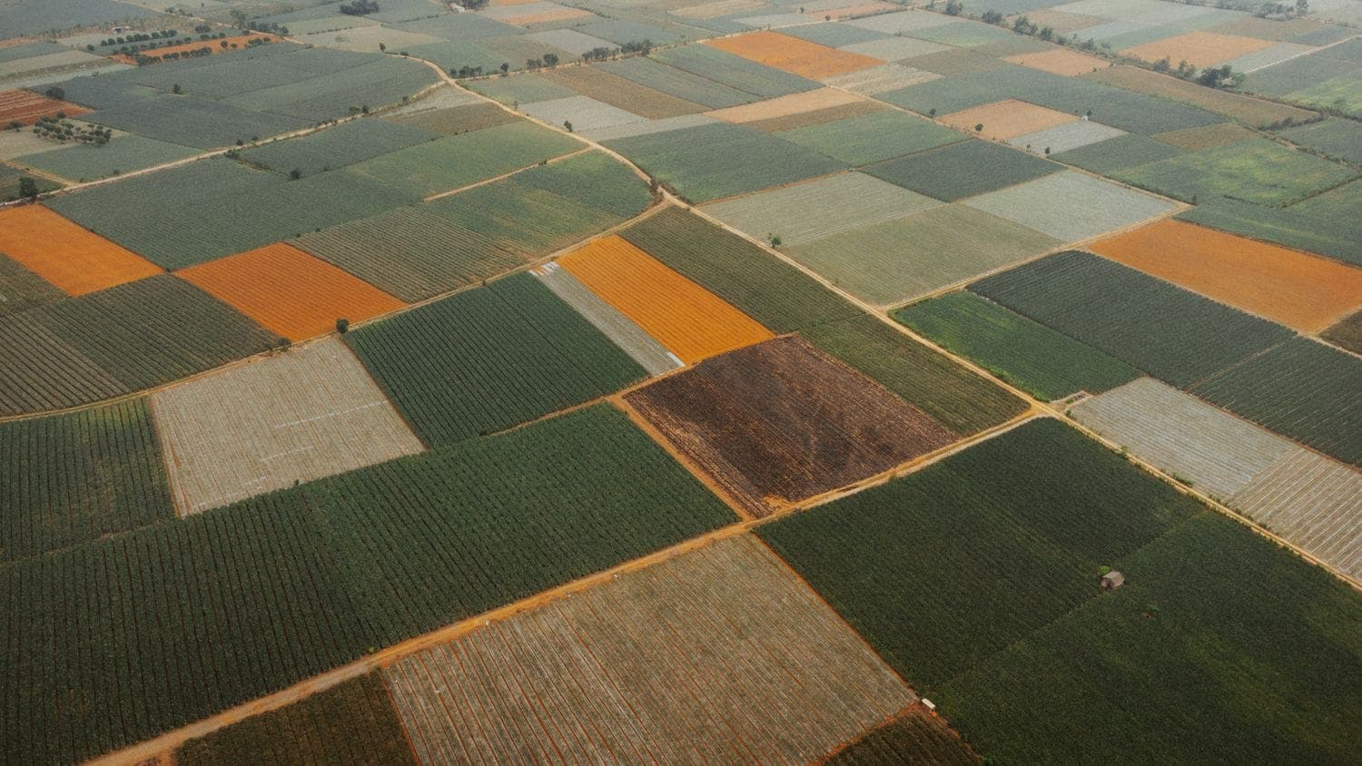 VOAC chemical-free farm model