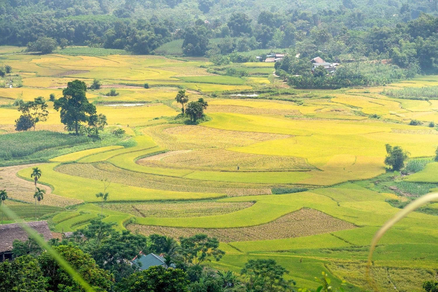 VOAC Organic Farm Partner