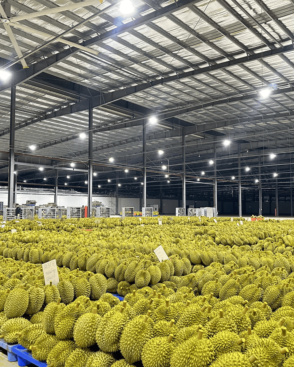 Product Sourcing Service