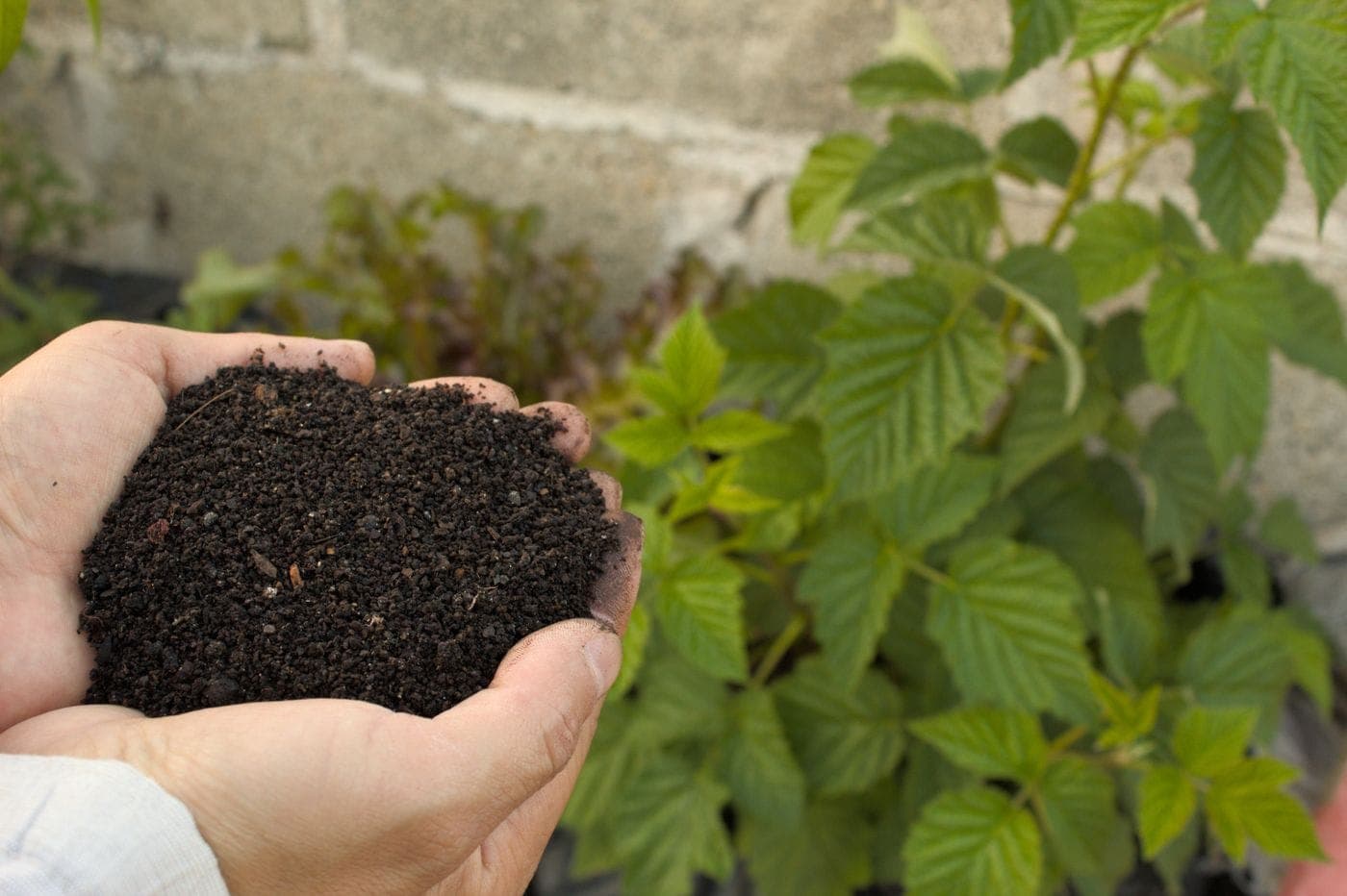 VOAC Organic Agricultural Ingredients