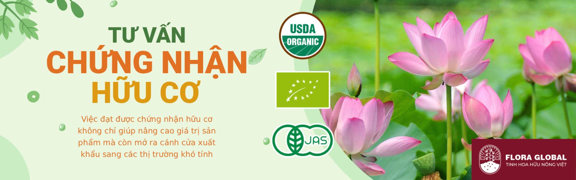 භාවිත නියම