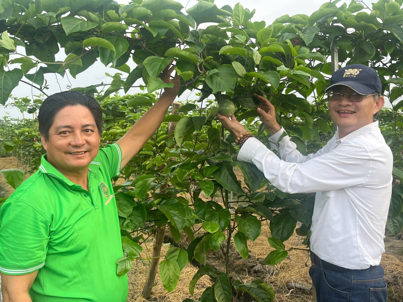 Farming: Precision Cultivation & The Honey No. 9 Legacy