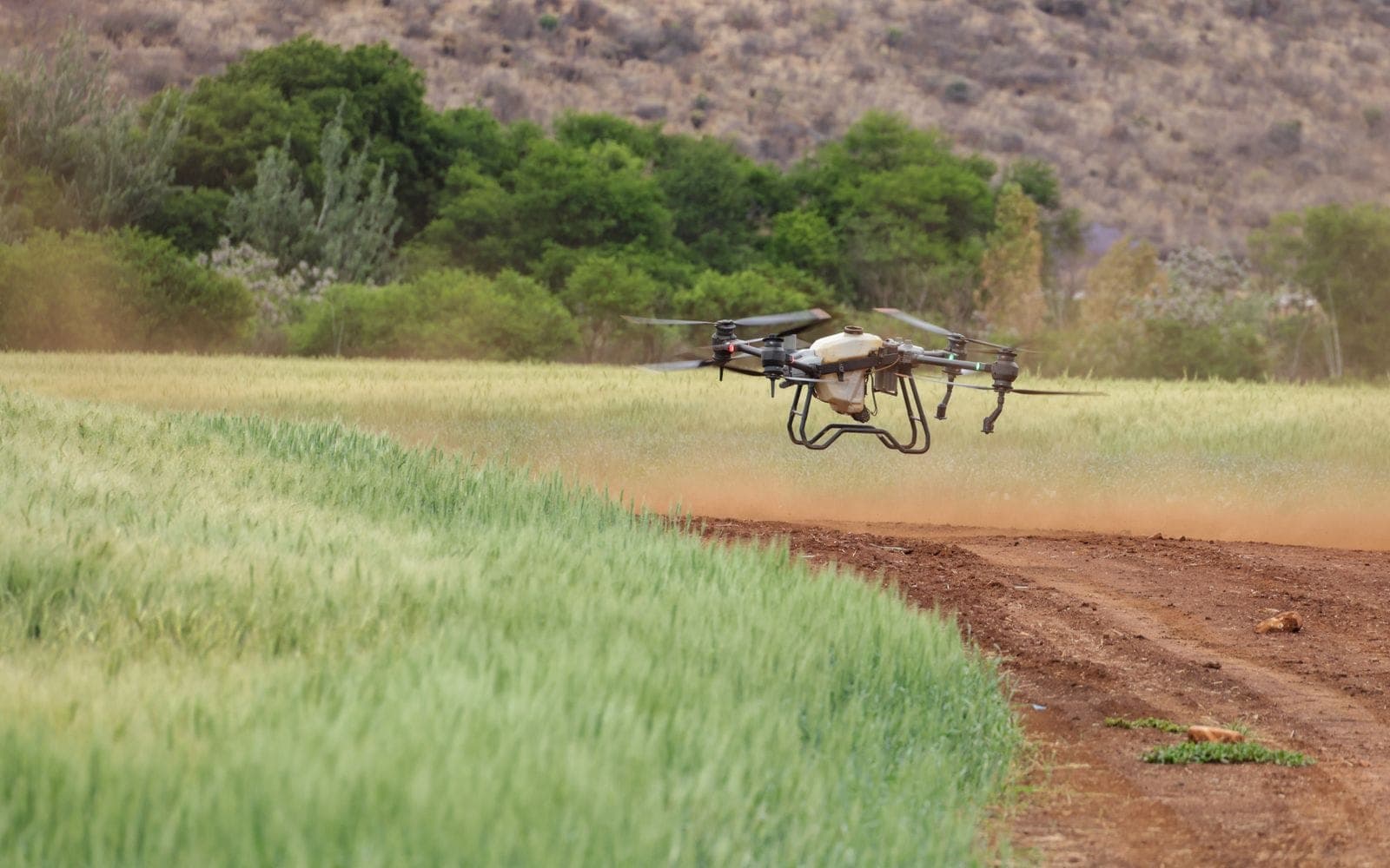 Precision farming and the "Honey No. 9" legacy: data-driven farming