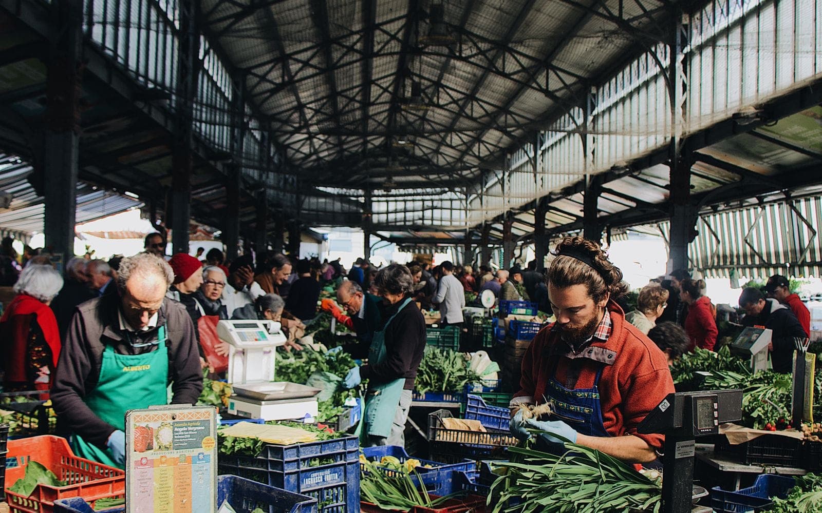 Global organic food demand: long-term drivers