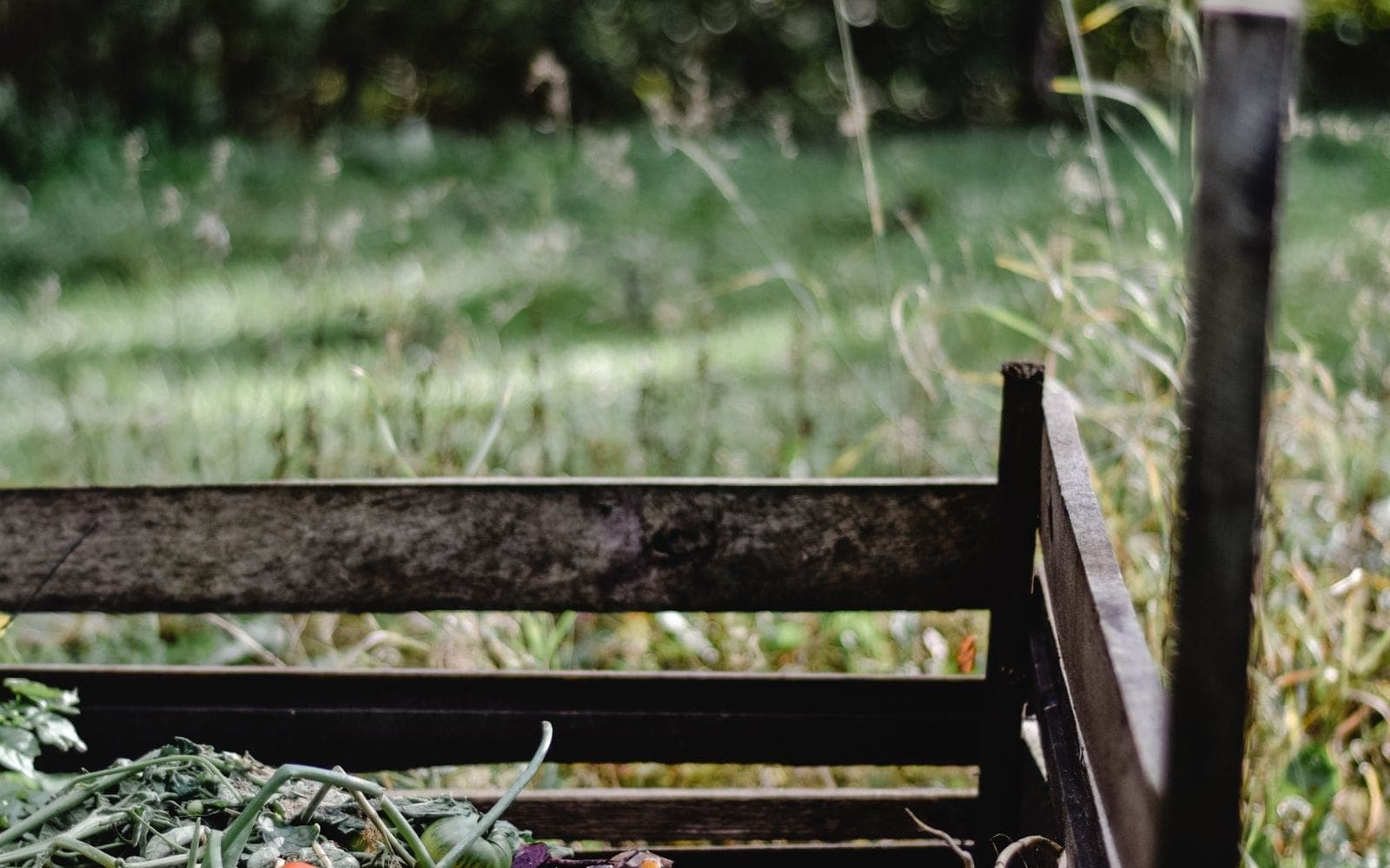 Organic fertilizers: classification, composting and principles of use