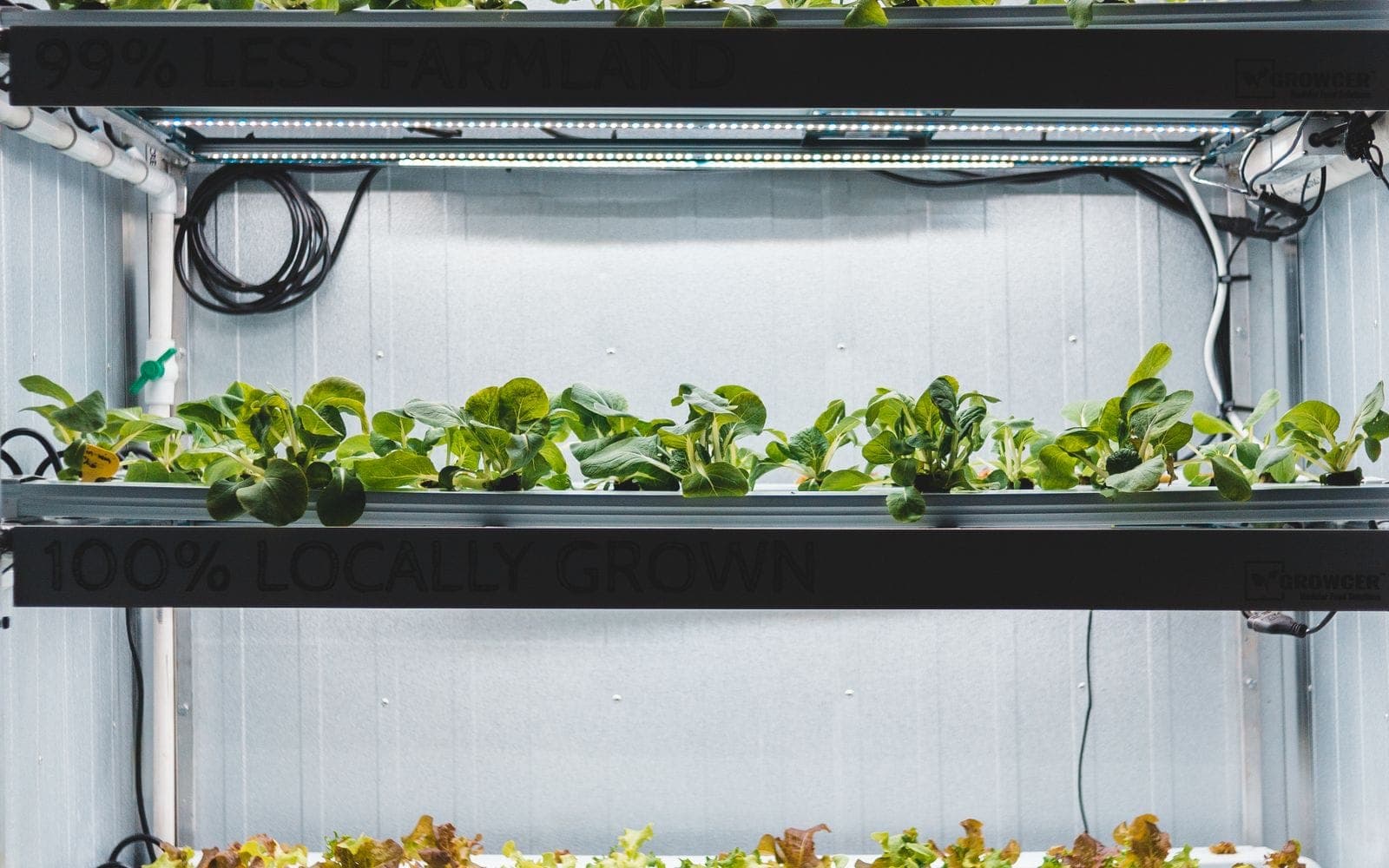 Why did Flora Global choose the Japanese agricultural materials platform?